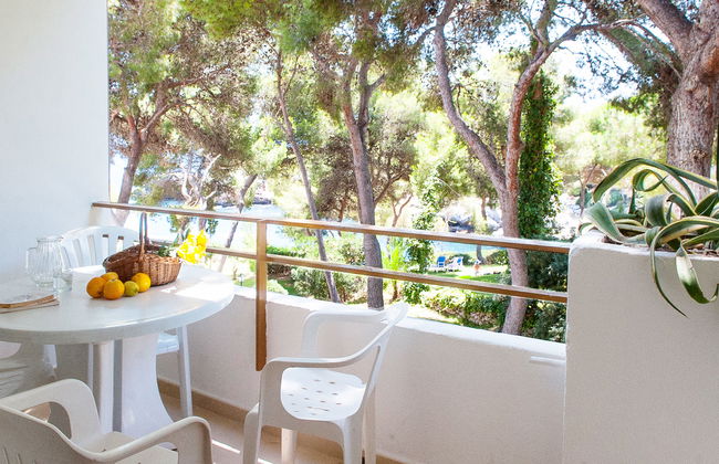 Ferrera Park - Foto 4