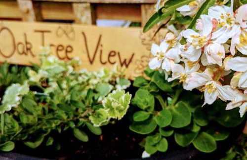 Oak Tree View - relax, reconnect, explore or work - Foto 13