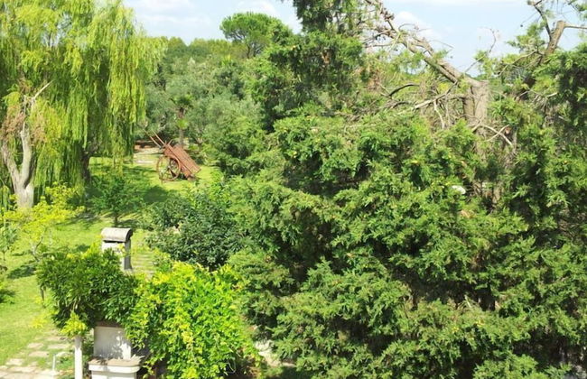 Defabrivillage - Photo 48