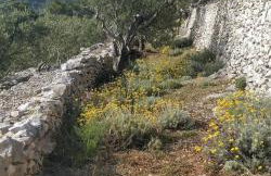 House on Punta - Photo 27