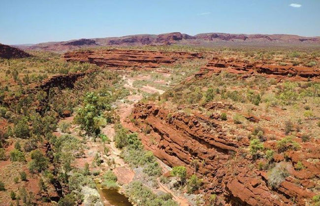 Palm Valley et Promenade en 4x4 - Excursion d'une Journée - Photo 10