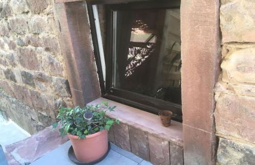 Wohnen im Springerhof - Foto 44