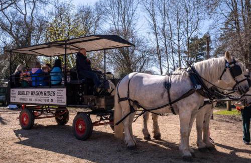 Oak Lodge - Photo 47