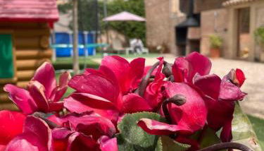 Casa rural LA PEDANIA - Foto 4