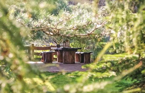 Ostoja Szmana - Foto 13