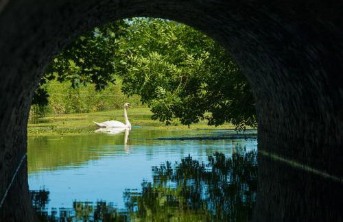 Tonge Barn - Photo 37