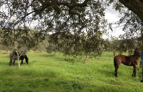 Le Case Di S. Andrea - Foto 41