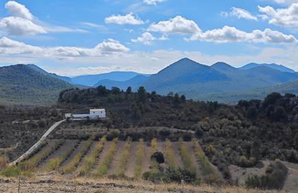 Villa Socorrito - Foto 6