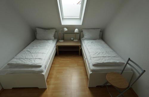 Zaunkönigin - Foto 25