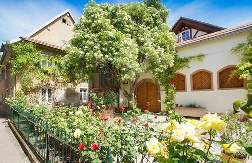 Ferienwohnungen Altes Rathaus - Foto 1