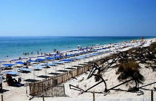 Cosy Beach Loft Pedras Del Rei - Foto 23