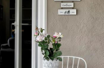 Ginger House - Foto 17