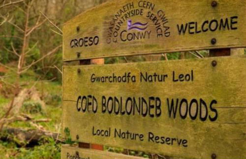 Cosy 2 bed terraced house in Conwy - Foto 21