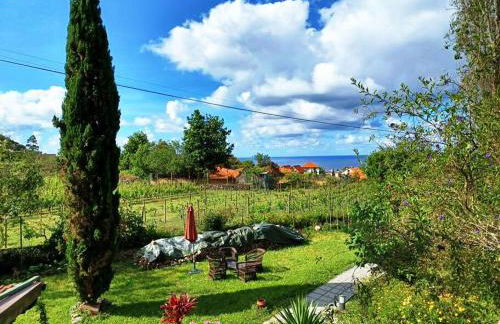 Casa da Lagoa BB or HB options - Foto 28