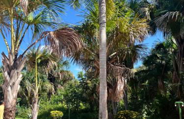 Gran Lençóis Flat Barreirinhas Caburé-209 - Photo 25