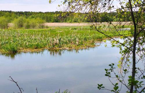 Leśniczówka Zielone Zakole - Foto 49