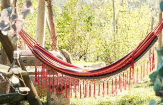 Casa dos Castros - Photo 29