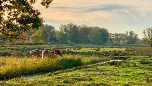 Ferienwohnungen Klein Kapelle - Foto 2