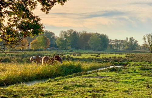 Ferienwohnungen Klein Kapelle - Foto 2