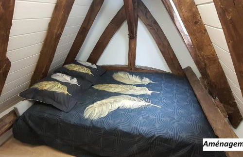 Le gros chêne, gite du XVIII siècle, jacuzzi privatif - Foto 16