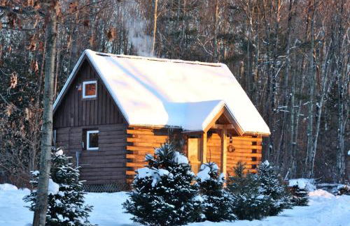 Cozy Log Cabin with an Indoor Fireplace Located on 70 Forested Acres in Leicester, Vermont - Foto 40