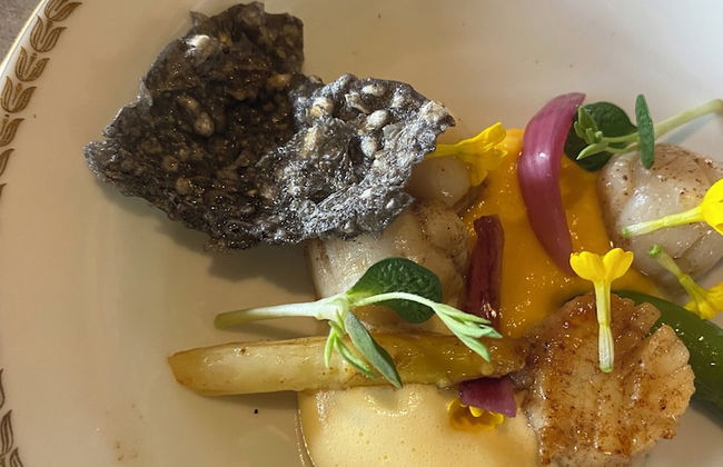 Château de Blet - Foto 51