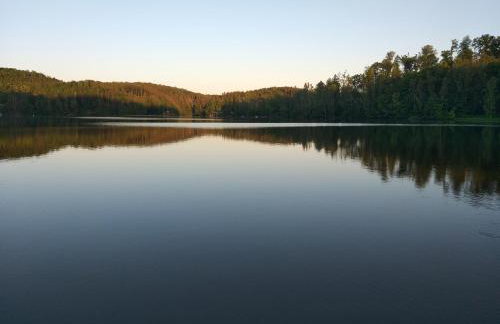 Waldidylle - Bungalows an der Talsperre Kriebstein - Foto 10