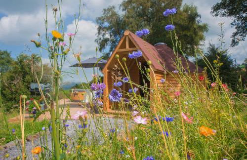 Dol Y Mynydd The Mountain Meadow - Cottage - Photo 19