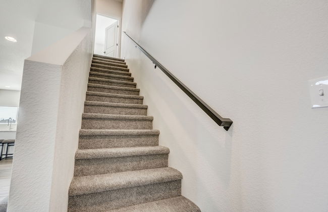 Rising Star - Photo 46