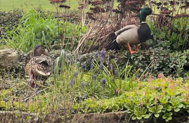 Stanton Lodge Cottage - sleeps 5 - Foto 33