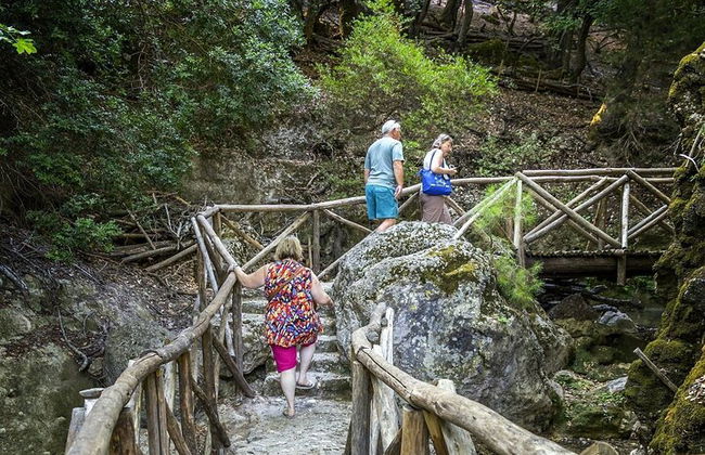 Tour di un'intera giornata con farfalle e barca all'isola di Chalki - Foto 5