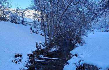 Les Papillons - Foto 33