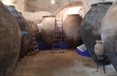 Casa Eufemia - Campo de Criptana - Foto 12