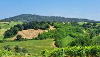 Il Biancospino - Foto 3