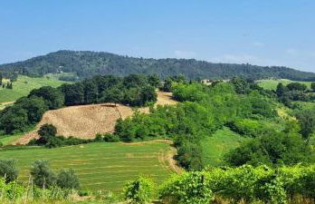 Il Biancospino - Foto 3