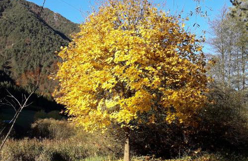 La mansarda di Rossella - Photo 23