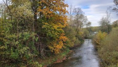 Lisi Zakątek - Foto 5