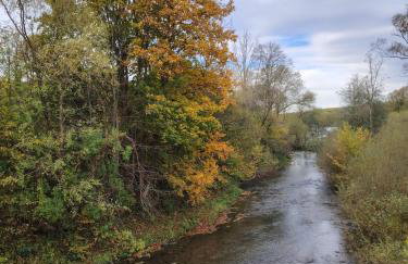 Lisi Zakątek - Foto 5