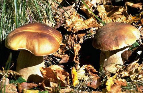 Casa Marta - Foto 51