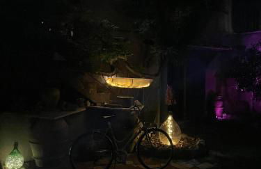 The garden of history - Foto 33