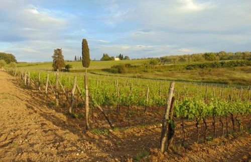 Agriturismo Circugnano - Foto 21