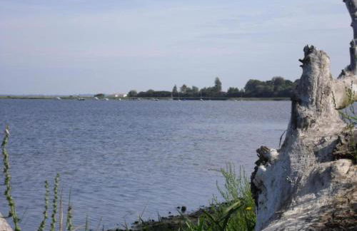 Bungalow in Boiensdorf for 4 Person - Foto 67