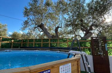 Κτημα Εριφυλλη - Foto 37