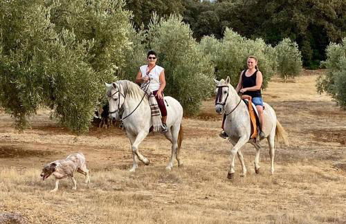 Finca Los Jacaros - Foto 44