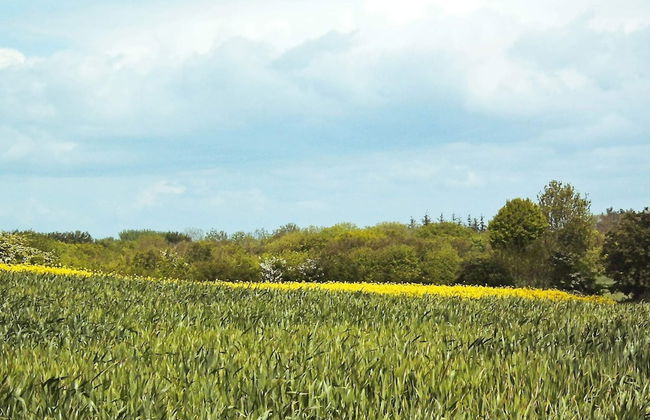 20 Person Holiday Home in Nordborg-by Traum - Foto 44