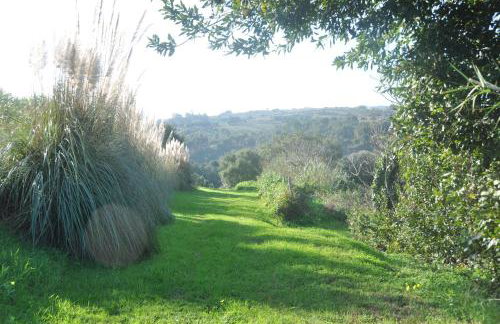 Quinta do Bom Vento - Photo 96