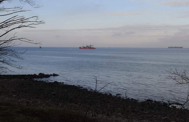 6 Person Holiday Home in Hornbaek - Photo 37