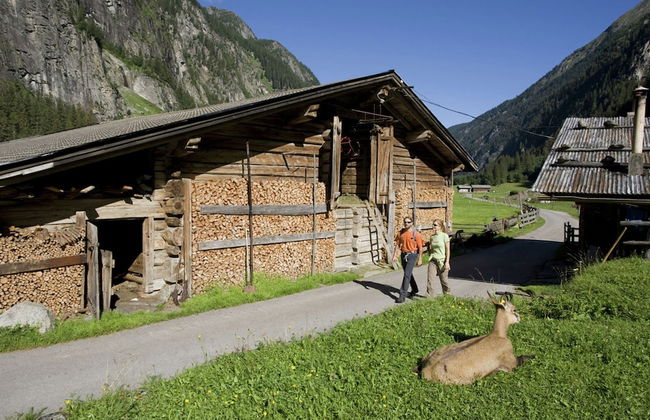 Spacious Apartment in Ramsau im Zillertal near Ski Area - Foto 15