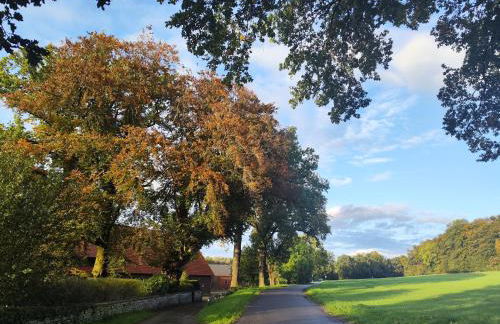 Grand Westfalia - Foto 35