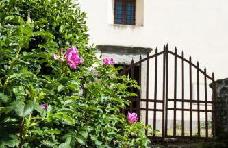 Agriturismo di Baroni Enzo - Foto 15